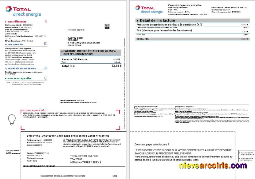 France Total Direct Energie business utility bill